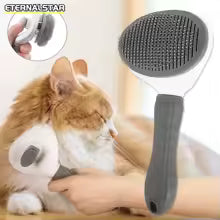 Pet Brush