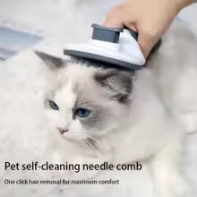 Pet Brush