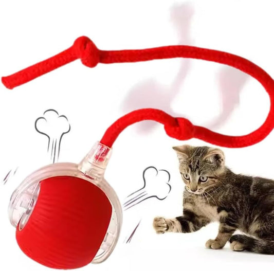 🐾 ZoomBall™ – Smart Interactive Cat Toy