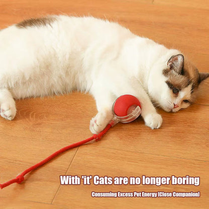 🐾 ZoomBall™ – Smart Interactive Cat Toy