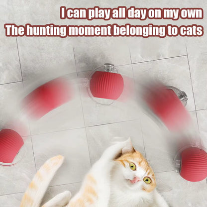 🐾 ZoomBall™ – Smart Interactive Cat Toy