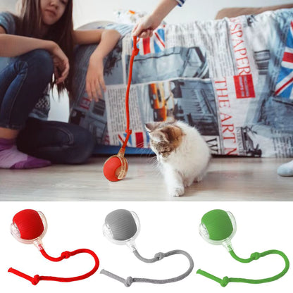 🐾 ZoomBall™ – Smart Interactive Cat Toy