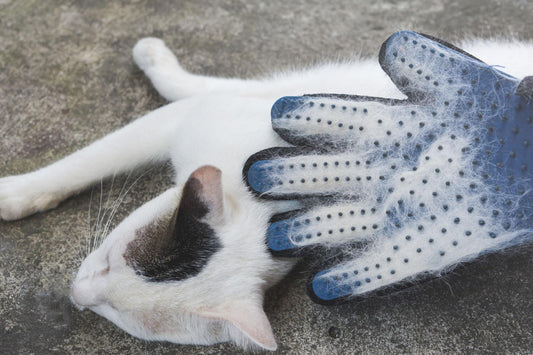 Cat glove