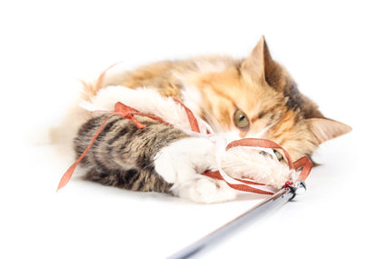 Feather Teaser Cat Wand